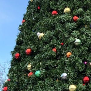 Meet your Posher, Cecilia